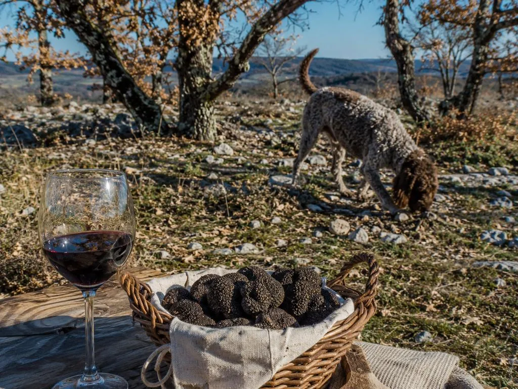 Château Pech de Jammes: Trüffelsuche & Malbec-Verkostung